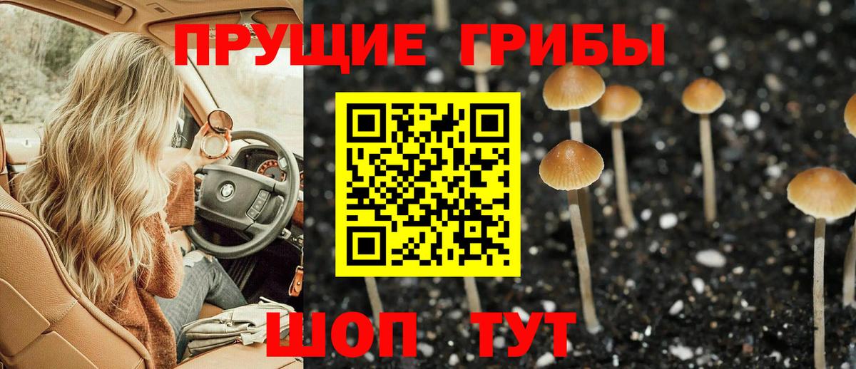 Галлюциногенные грибы прущие грибы Лесосибирск