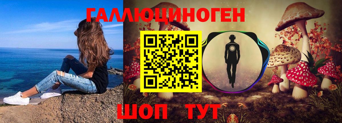 Лесосибирск  Псилоцибиновые грибы мухоморы  Вход с VPN 